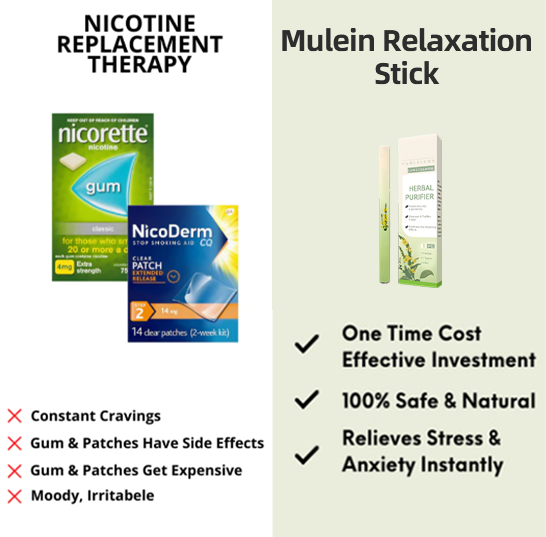 🔥 🔥🔥Final 3 Hours: 60% OFF Mullein Relaxation Stick – Soothes Lungs, Detoxifies, Freshens Breath