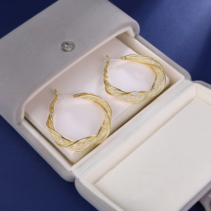 （🔥LAST DAY SALE-80% OFF)Histone Lymphatic activity hoop earrings